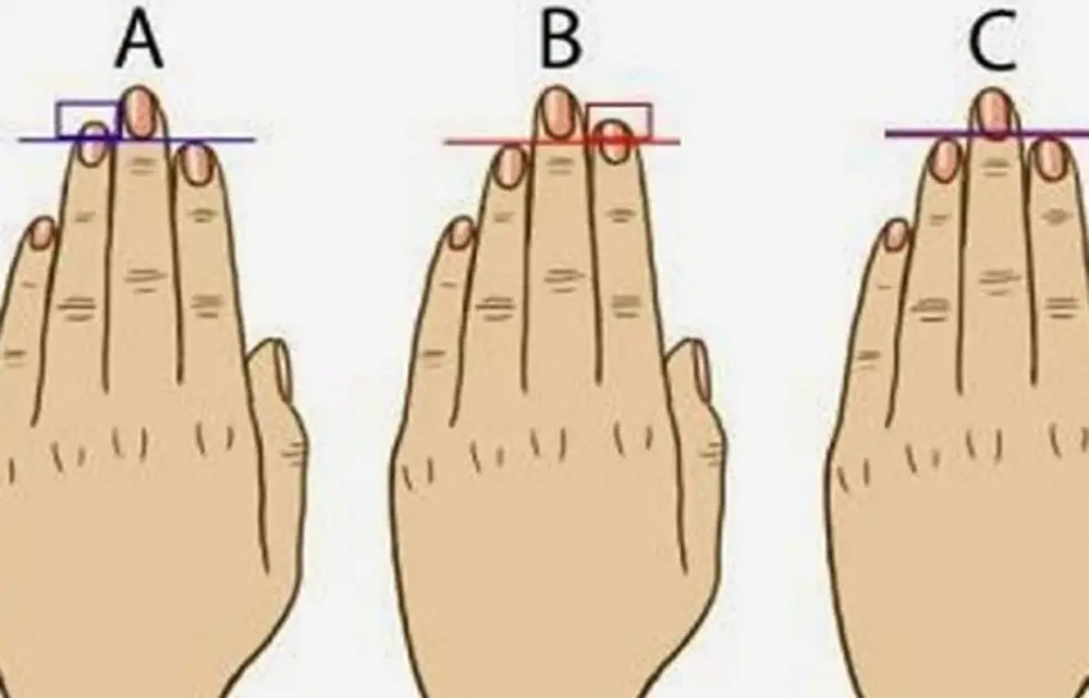 Saznajte što dužina vaših prstiju otkriva o vama.