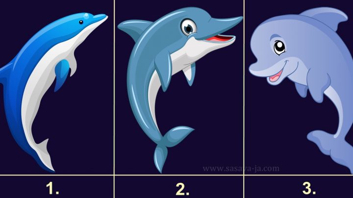 DELFIN DONOSI SREĆU! Poželi nešto pa izaberi jednog delfina i SAZNAJ  da li će se TVOJA ŽELJA OSTVARITI!/