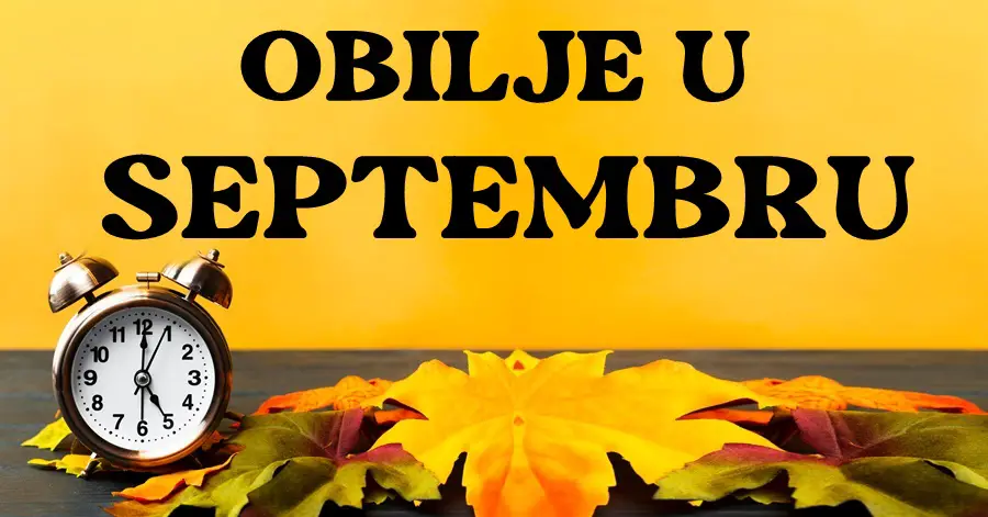Septembar je počeo: Ovnu, Vodoliji i OVOM znaku će donijeti OBILJE NOVCA, LJUBAVI i SREĆE!