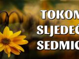 U NAREDNOJ SEDMICI: Raka, Bika, Strijelca, Djevicu i Vodoliju čeka sreća kao nikad prije, Ovna tuga, Vagu sukob, Blizance napredak, Lava prilika života, Jarca i Škorpiju ljubav!