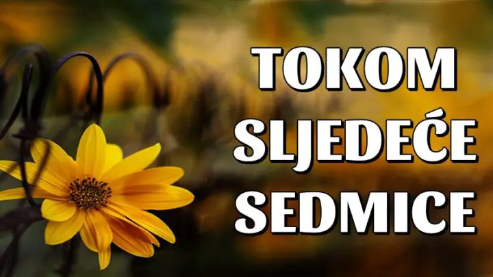 U NAREDNOJ SEDMICI: Raka, Bika, Strijelca, Djevicu i Vodoliju čeka sreća kao nikad prije, Ovna tuga, Vagu sukob, Blizance napredak, Lava prilika života, Jarca i Škorpiju ljubav!