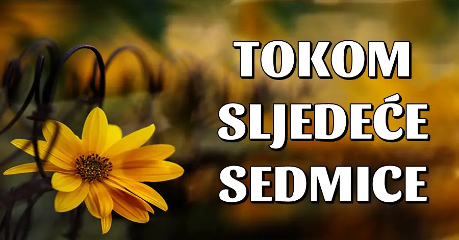 U NAREDNOJ SEDMICI: Raka, Bika, Strijelca, Djevicu i Vodoliju čeka sreća kao nikad prije, Ovna tuga, Vagu sukob, Blizance napredak, Lava prilika života, Jarca i Škorpiju ljubav! U NAREDNOJ SEDMICI: Raka, Bika, Strijelca, Djevicu i Vodoliju čeka sreća kao nikad prije, Ovna tuga, Vagu sukob, Blizance napredak, Lava prilika života, Jarca i Škorpiju ljubav!