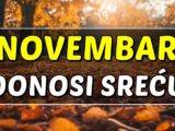 NOVEMBAR DONOSI SREĆU: Bik, Ribe i Jarac –  spremite se za velike transformacije i ostvarenje života iz snova!