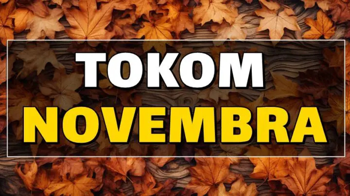 TOKOM NOVEMBRA: Blizance, Lava i Ribe čeka financijsko obilje, Ovna, Raka, Strijelca i Vagu čeka sreća koja mijenja život, Bika i Djevicu radosne vijesti, Škorpiju, Vodoliju i Jarca prilika koja se ne priropušta!