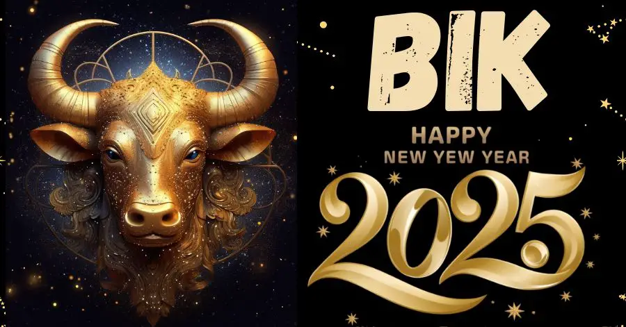 BIK – GODIŠNJI HOROSKOP za 2025! Budite spremni na promjene, jer ova godina vam donosi više nego što možete zamisliti! Zvijezde su na Vašoj strani!