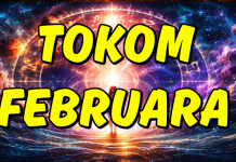 TOKOM FEBRUARA: Biku i Djevici dolaze najljepši dani ikada, Ovnu, Raku i Strijelcu se vraća prošlost, Blizancima i Lavu bogatstvo, Škorpiji, Jarcu i Ribi blagoslov sreće, Vagi i Vodoliji ljubavne promjene…